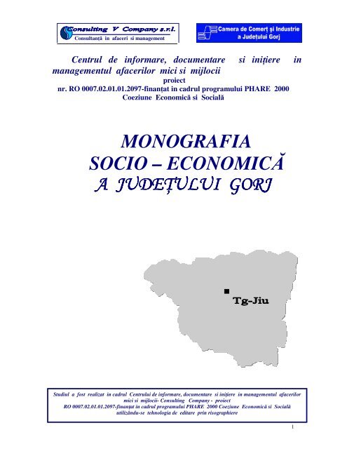 Monografia Socio Consulting Company