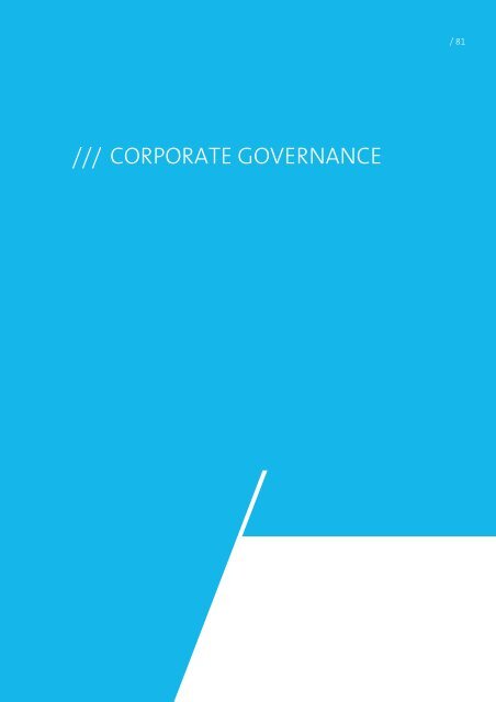 Corporate Governance 2013 (pdf) - Walter Meier