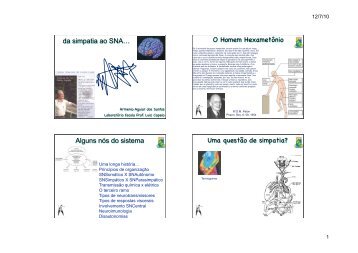 Sistema Nervoso Autônomo