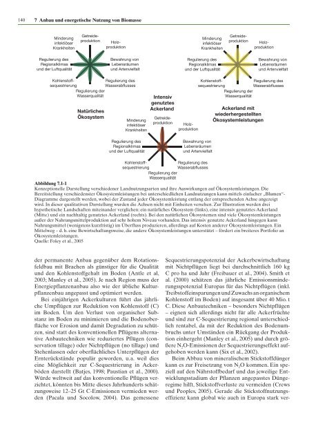 Zukunftsfähige Bioenergie und nachhaltige Landnutzung