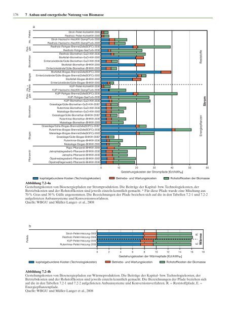 Zukunftsfähige Bioenergie und nachhaltige Landnutzung