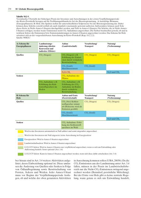 Zukunftsfähige Bioenergie und nachhaltige Landnutzung