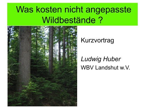 Kosten der Waldverjüngung Vergleich - WBV Landshut wV