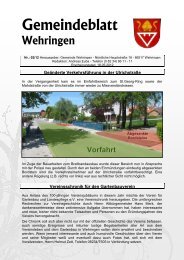 Gemeindeblatt 02.2012 - Gemeinde Wehringen