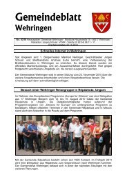 Gemeindeblatt 03.2010 - Gemeinde Wehringen