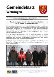 Gemeindeblatt 01.2010 - Gemeinde Wehringen