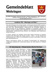 Gemeindeblatt 02.2011 - Gemeinde Wehringen