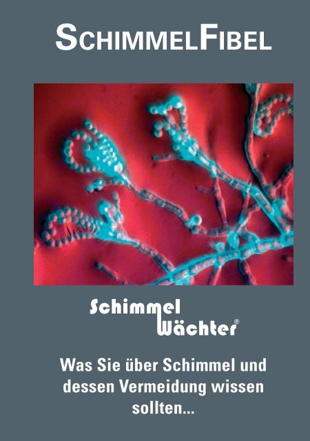 Schimmelfibel - Rotronic AG