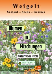 Katalog Blumen in Mischungen (pdf-Datei, 5MB) - Weigelt & Co ...