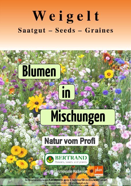 Pflanzen, Sämereien & Zwiebeln Alpenaster Hellblau Steingarten Samen  Schnitt Blumen Stauden Sämereien Garten & Terrasse totum.ca