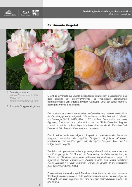 Estufa do Parque da Lavandeira (PDF) - Câmara Municipal de Gaia
