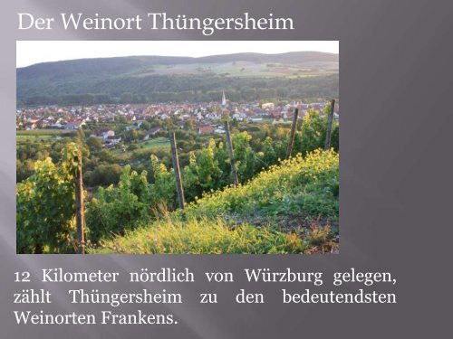 Unser Weingut - Weingut Schwab