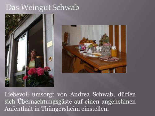 Unser Weingut - Weingut Schwab