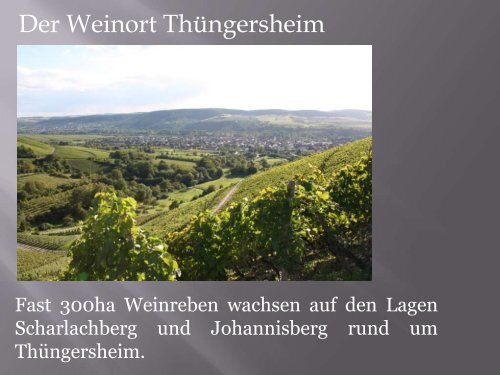 Unser Weingut - Weingut Schwab