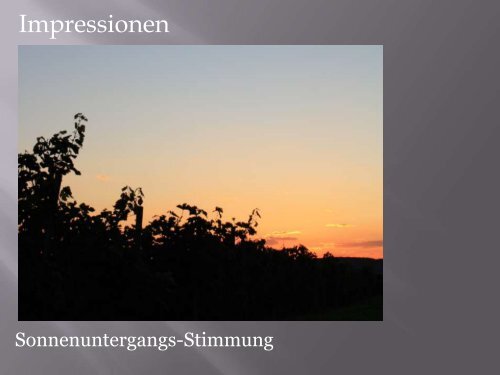 Unser Weingut - Weingut Schwab