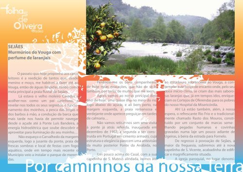 Newsletter agosto 2012 - Câmara Municipal de Oliveira de Frades