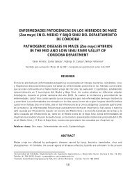 Enfermedades patogénicas en los híbridos de maíz