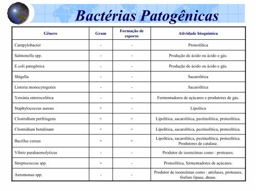 Bacterias Patogênicas - Tripod