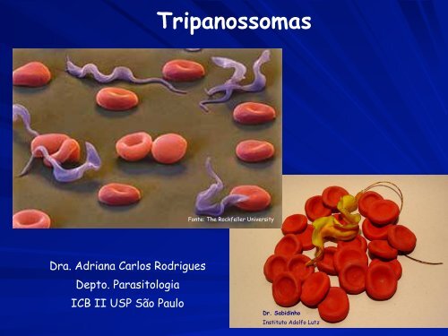 Tripanossomas - USP