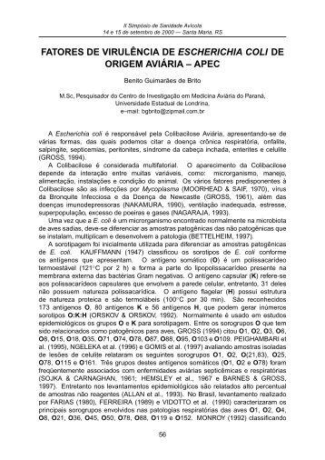 fatores de virulência de escherichia coli de origem aviária – apec