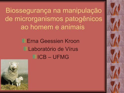 Biossegurança na manipulação de microrganismos patogênicos ao ...