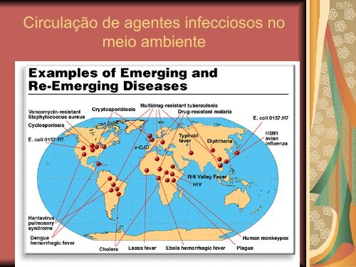 Biossegurança na manipulação de microrganismos patogênicos ao ...