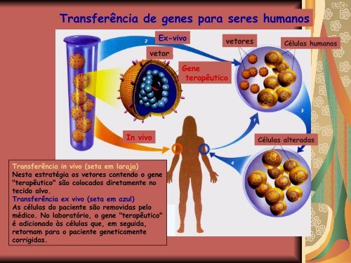 Biossegurança na manipulação de microrganismos patogênicos ao ...