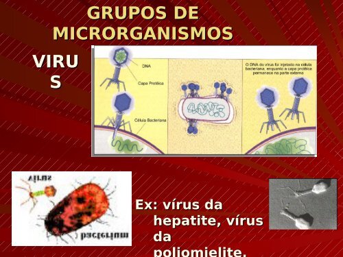 Microbiologia de Alimentos - Unioeste