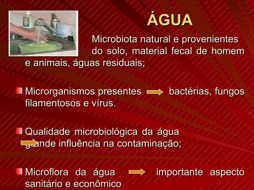 Microbiologia de Alimentos - Unioeste