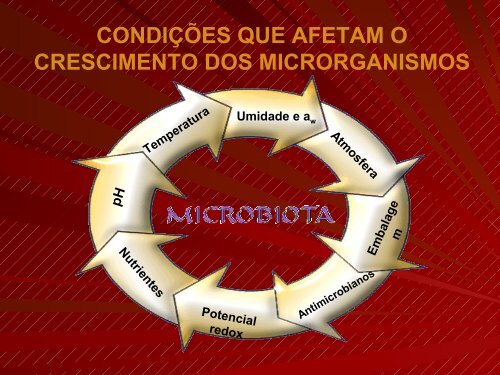 Microbiologia de Alimentos - Unioeste