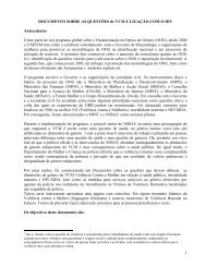 Documento Sobre as Questos de VCM e Ligacao ... - UN Women