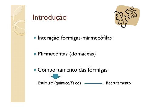 Pheidole minutula (Hymenoptera Hymenoptera ... - PDBFF