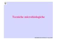 Isolamento Colture - Microbiologia Generale