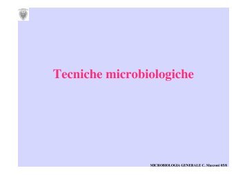 Isolamento Colture - Microbiologia Generale