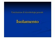 esercitazione isolamento - AgrariaFree