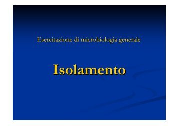 esercitazione isolamento - AgrariaFree