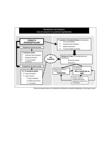 Rehabilitación del Linfedema. Actualización y Protocolo