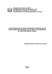 caracterização da pesca artesanal exercida pelos pescadores