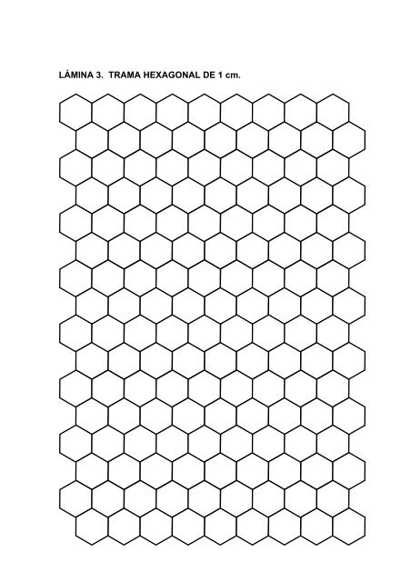 1º ESO - mauricio contreras