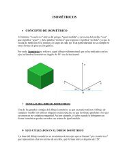 ISOMÉTRICOS - La Verdadera Magnitud