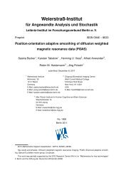 PDF (5143 kByte) - WIAS
