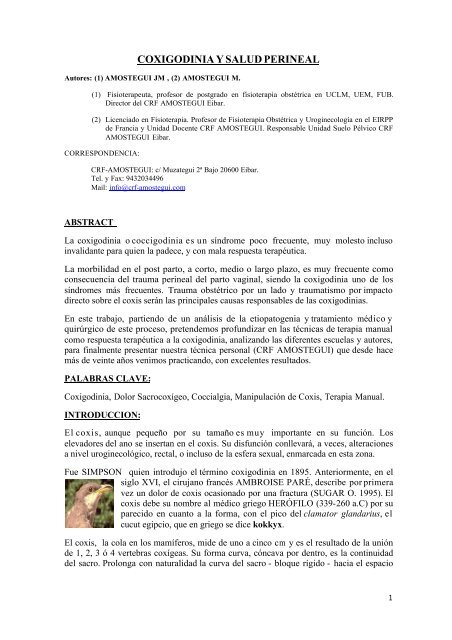 dolor perineal y vínculo dolor perineal y vínculo