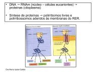 Complexo de Golgi - Departamento de Biologia - UFC