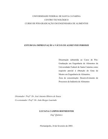 Estudo da Impregnação à Vácuo em Alimentos Porosos