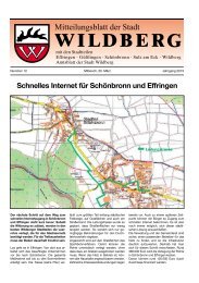 Schnelles Internet für Schönbronn und Effringen - Wildberg