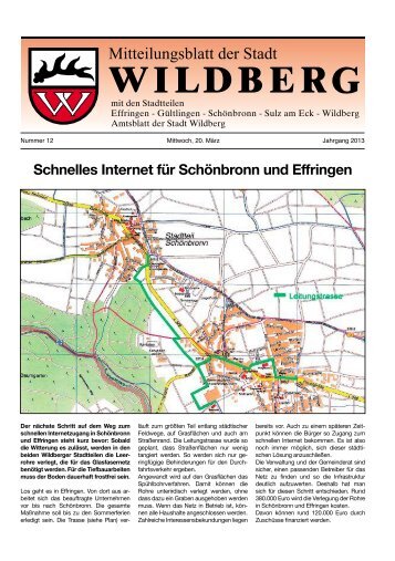 Schnelles Internet für Schönbronn und Effringen - Wildberg