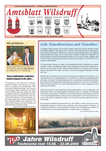 Ausgabe Januar 2009 - Stadt Wilsdruff