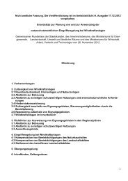 Winderlass Schleswig-Holstein (pdf, 108 KB)