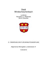 FlnPlan 21.Änd Textteil UB Sept 2012 - Stadt Windischeschenbach