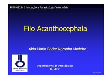Filo Acanthocephala - USP